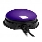 USB Switch - purple cap only