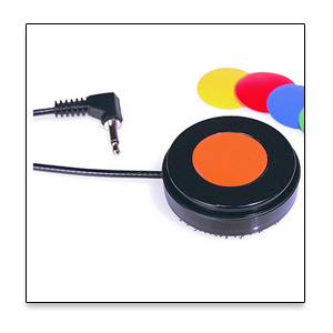 A cap switch - possibly choosen for it's slightly higher pressure rating and smaller size